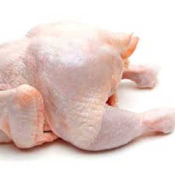 High Quality / Top Brazilian / Best Quality Healthy and Natural Whole Chicken Halal Frozen Whole Chicken From Turkey Poultry Meat Chicken with Customize Pack - Image 5