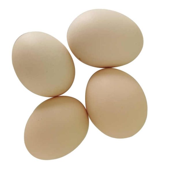 Quality Fertilized Fresh Brown Table Chicken Eggs Cheap Fresh Chicken Table Eggs Fresh Chicken in Bulk - Image 3