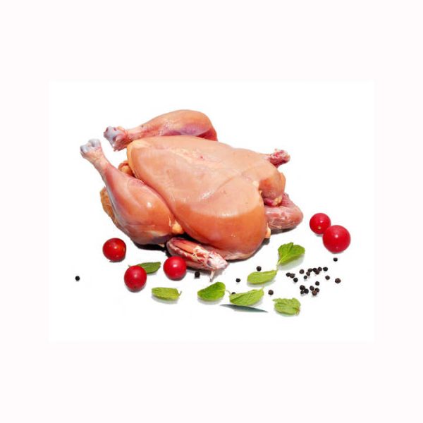 / Frozen Whole Chicken / Frozen Chicken Legs and Wings Top Quality Halal Frozen Whole Chicken / Breast and Paws - Image 5
