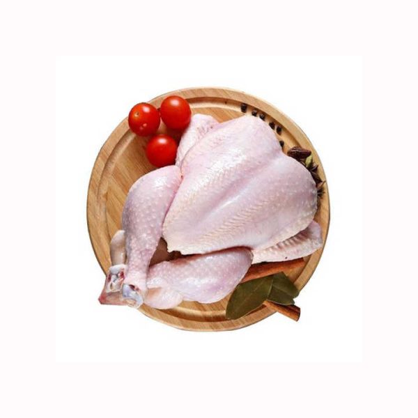 Brazil Frozen Chicken Paws / Chicken Feet / Whole Chicken and Chick Parts HALAL WHOLE FROZEN CHICKEN FROM GERMANY - Image 2