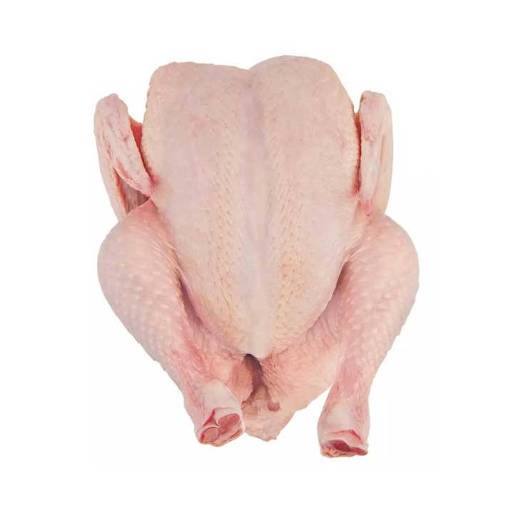 Frozen Chicken Legs and Wings Halal Whole Frozen Chicken/ Best World Market Price / Poultry Products 100