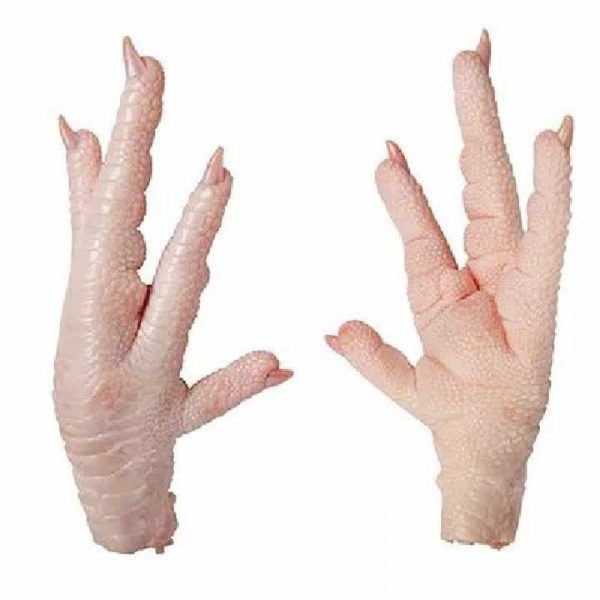 Halal Chicken Feet Frozen Whole Chicken Paws Dried Style for Export - Image 3