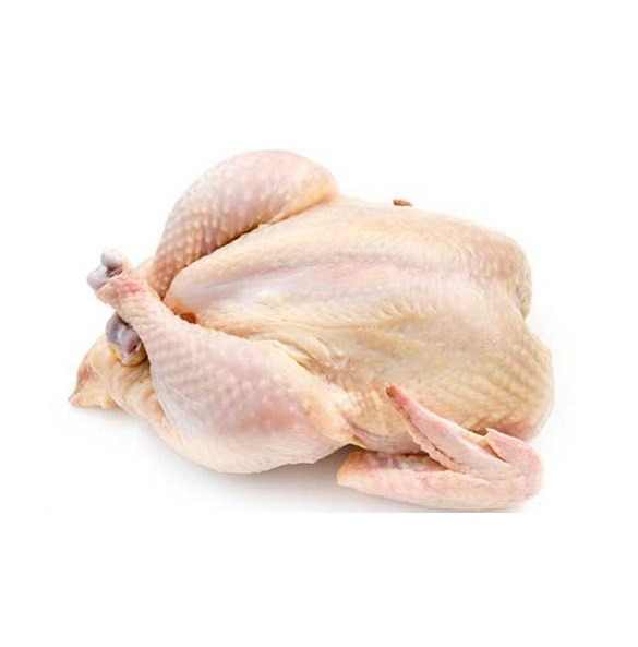 High Quality Frozen Grade a Halal Whole Chicken and Chicken Parts Top Selling Premium Halal Frozen Whole Chicken - Image 4