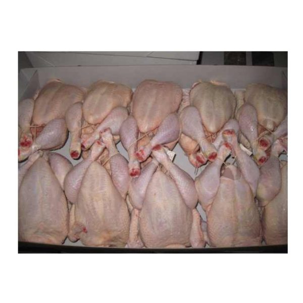 Frozen Chicken Whole Frozen Beef Chicken Fish Meat Whole Cold Frozen Meat Wholesale - Image 3