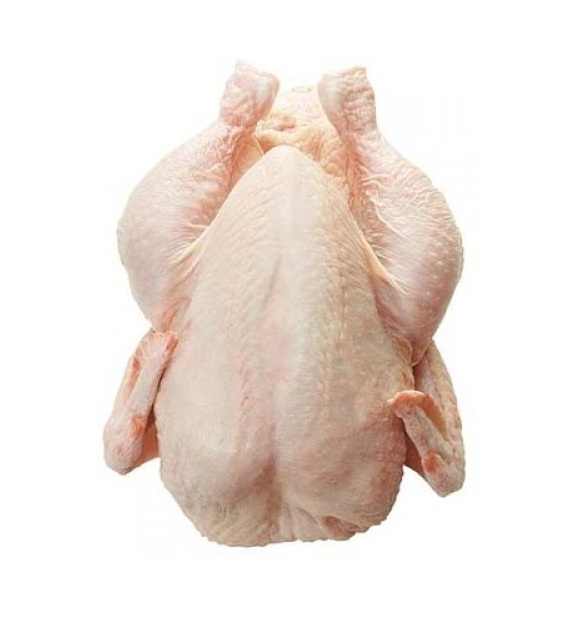 High Quality Frozen Grade a Halal Whole Chicken and Chicken Parts Top Selling Premium Halal Frozen Whole Chicken - Image 2