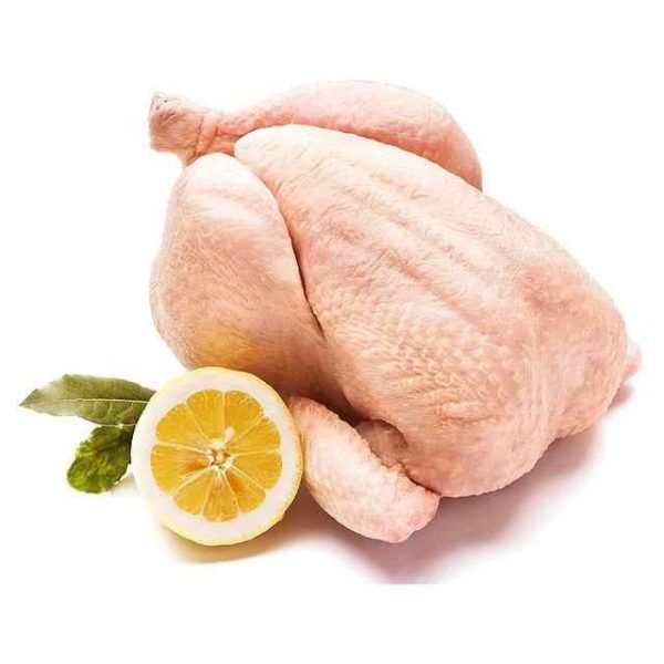 Quality Halal Frozen Whole Chicken Quality Wholesale Halal Frozen Whole Chicken Frozen Premium Quality Frozen Whole Chicken - Image 2