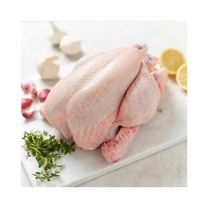 Broiler and Griller. Chicken Parts!! Halal whole chicken, Brazil frozen whole chicken suppliers, frozen whole chicken for export - Image 4