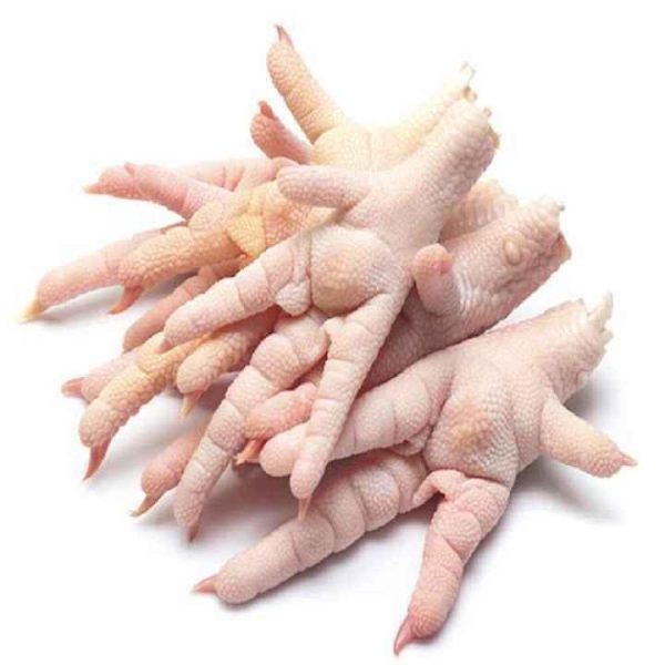 Halal Chicken Feet Frozen Whole Chicken Paws Dried Style for Export - Image 5