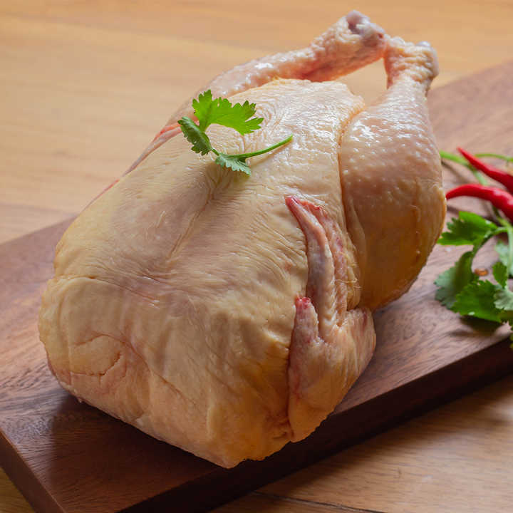 Top Quality Halal Frozen Whole Chicken Quality Wholesale Halal Frozen Whole Chicken Premium Quality Frozen Whole Chicken - Image 5
