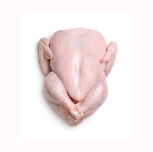 HALAL WHOLE FROZEN CHICKEN FROM GERMANY Quality Wholesale Brazilian Halal Frozen Whole Chicken Cheap Price - Image 4