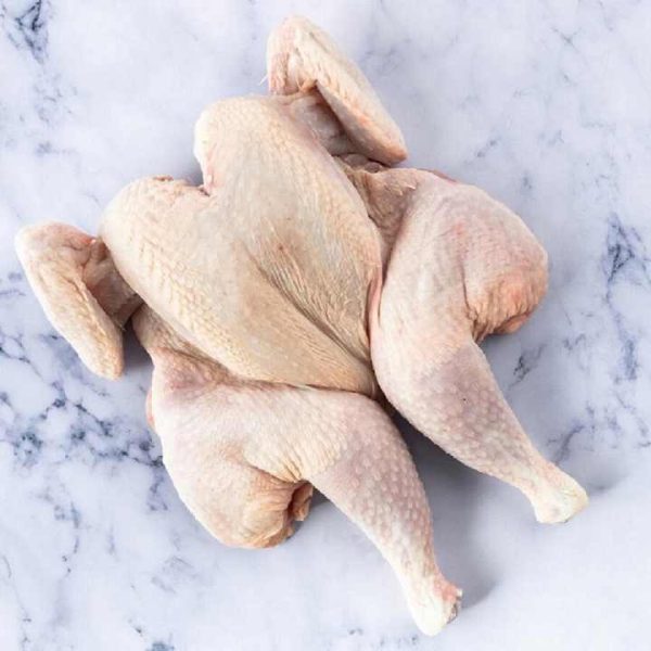 QUALITY HALAL WHOLE FROZEN CHICKEN FROM BRAZIL - Image 6