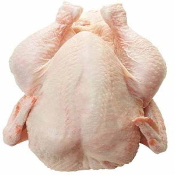 Best Quality Healthy and Natural Whole Chicken Halal Frozen Whole Chicken From Brazil Poultry Meat Chicken