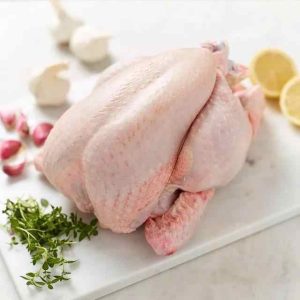 Best Selling Premium Supplier Halal Frozen Whole Chicken Halal Chicken Processed Meat in Wholesale Price