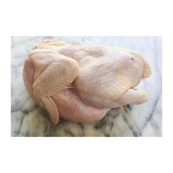 Wholesale Frozen Chicken In Stock Frozen Chicken Exported With Care For Bulk Supply Across Continents - Image 5