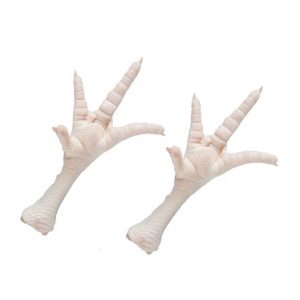 Chicken Feet Frozen Chicken Paws Brazil Fresh Chicken wings and Foot Ready for Export
