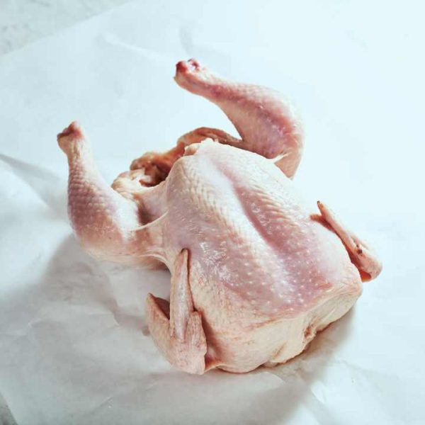 Wholesale Frozen Chicken In Stock Frozen Chicken Exported With Care For Bulk Supply Across Continents - Image 3