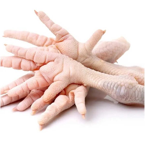 Top Exporting Bulk Brazil Frozen Chicken Feet / Chicken Paws for Sale - Image 2