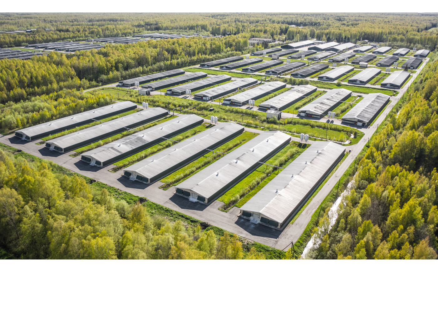 LLC "PenzaMolInvest"