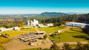 Buy Frozen Chicken Feet Grade A, Frozen Chicken Feet Grade A, Frozen Chicken Feet Grade A for sale, How to buy Frozen Chicken Feet Grade A online, Order Frozen Chicken Feet Grade A, order Frozen Chicken Feet Grade A online, Purchase Frozen Chicken Feet Grade A, Purchase Frozen Chicken Feet Grade A online, Where to buy Frozen Chicken Feet Grade A online