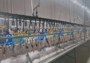 Brazilian Chicken, Brazilian Chicken Parts