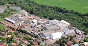 Chicken legs, Сhicken thigh, Chicken drumstick, Сhicken wings,