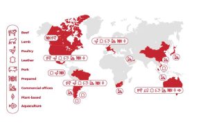 Chicken Parts, Сhicken fillet, Сhicken thigh fillet, Сhicken breast, Chicken legs, Сhicken thigh, Chicken drumstick, Сhicken wings,