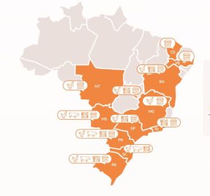 Chicken Parts, Сhicken fillet, Сhicken thigh fillet, Сhicken breast, Chicken legs, Сhicken thigh, Chicken drumstick, Сhicken wings