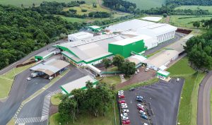 Buy Frozen Chicken Feet Grade A, Frozen Chicken Feet Grade A, Frozen Chicken Feet Grade A for sale, How to buy Frozen Chicken Feet Grade A online, Order Frozen Chicken Feet Grade A, order Frozen Chicken Feet Grade A online, Purchase Frozen Chicken Feet Grade A, Purchase Frozen Chicken Feet Grade A online, Where to buy Frozen Chicken Feet Grade A online