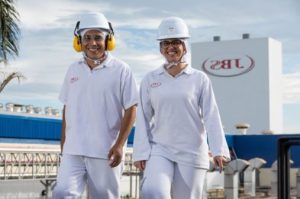 Chicken legs, Сhicken thigh, Chicken drumstick, Сhicken wings,