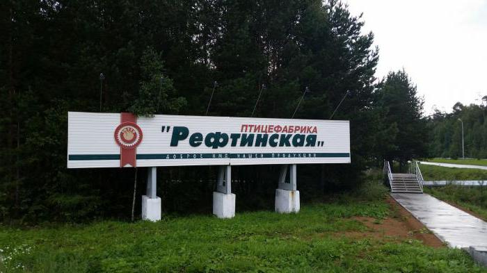 JSC "Poultry factory "Reftinskaya"