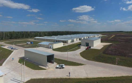 Magnitogorsk Poultry Complex LLC