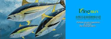 Shandong Kingsun Foods Co., Ltd.