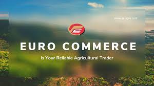 EUROCOMMERCE LTD