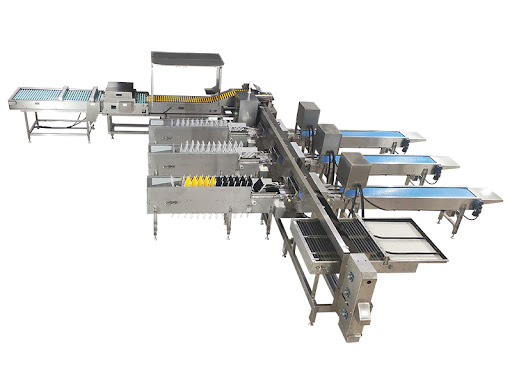 Shenzhen Zenyer Egg Machinery Co., Ltd.